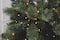 7ft. Pre-Lit Celebration Pine Artificial Christmas Tree, Warm White Mini LED Lights by Ashland®